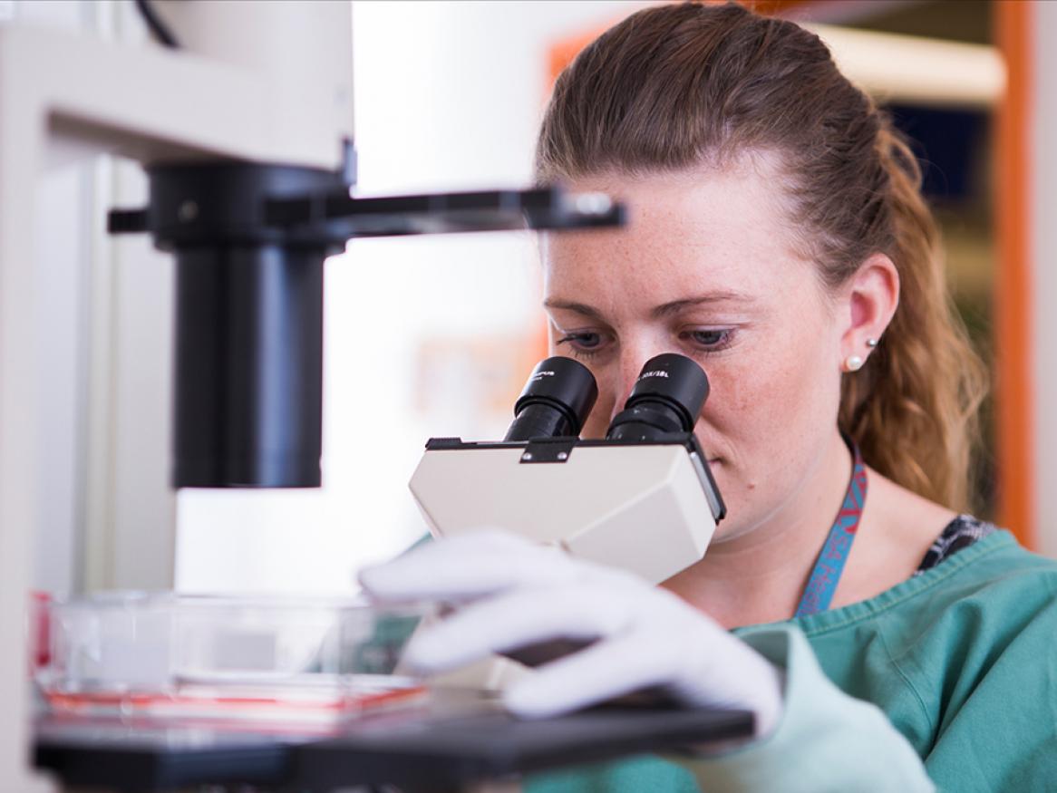 Sciences PhD student looking in microscope.