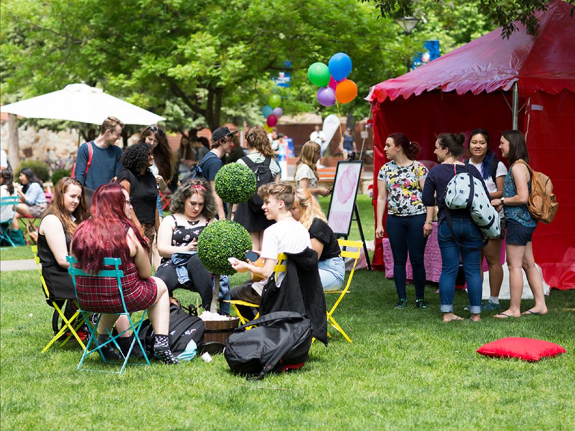 A group of students on lawn.