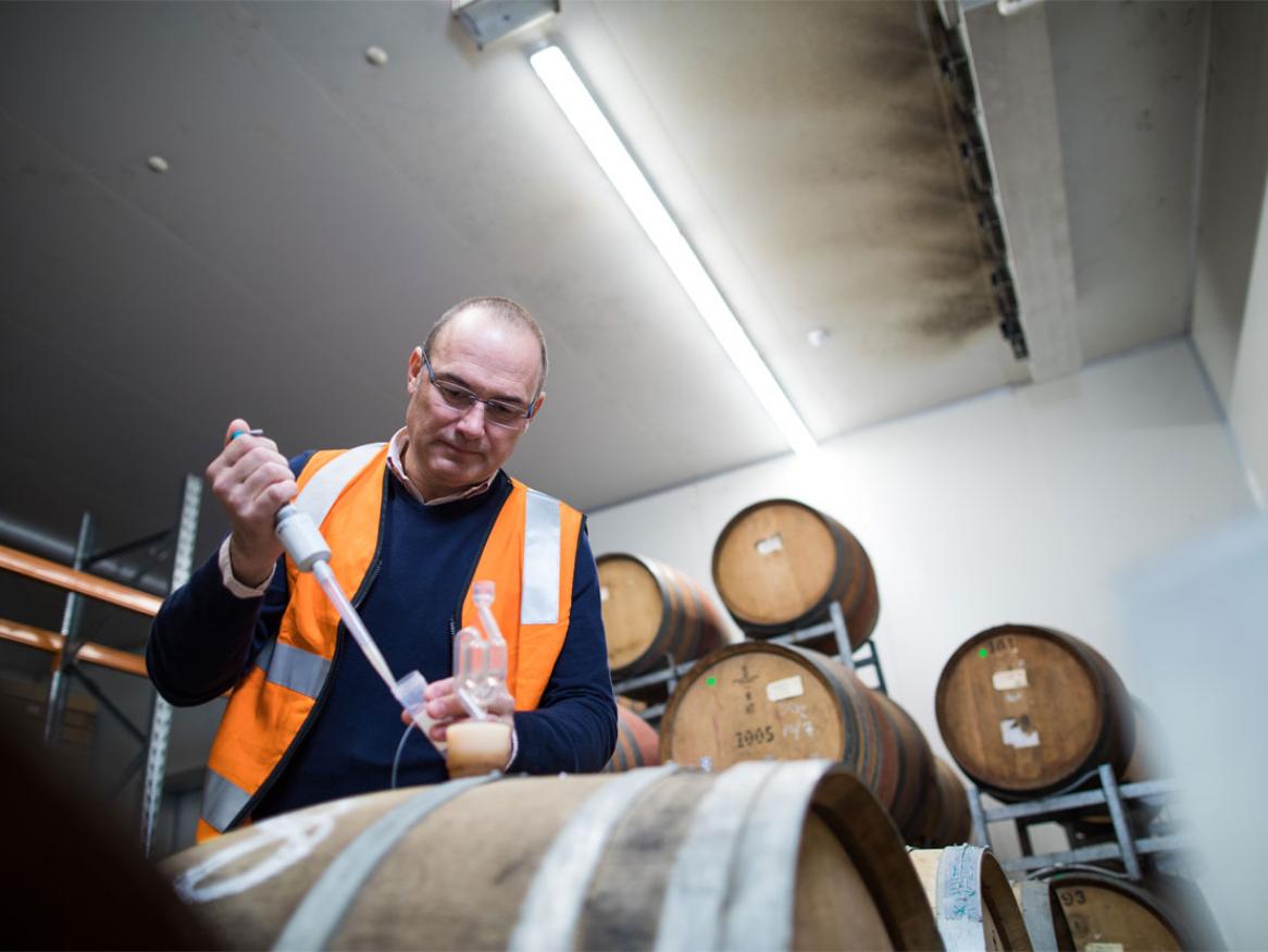 Waite campus winery. Wine sciences research