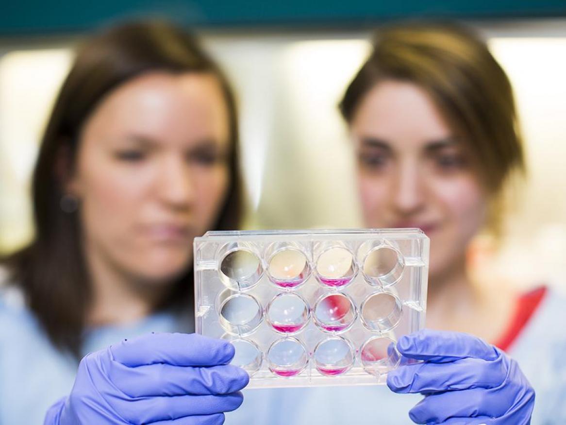 Postgraduate research