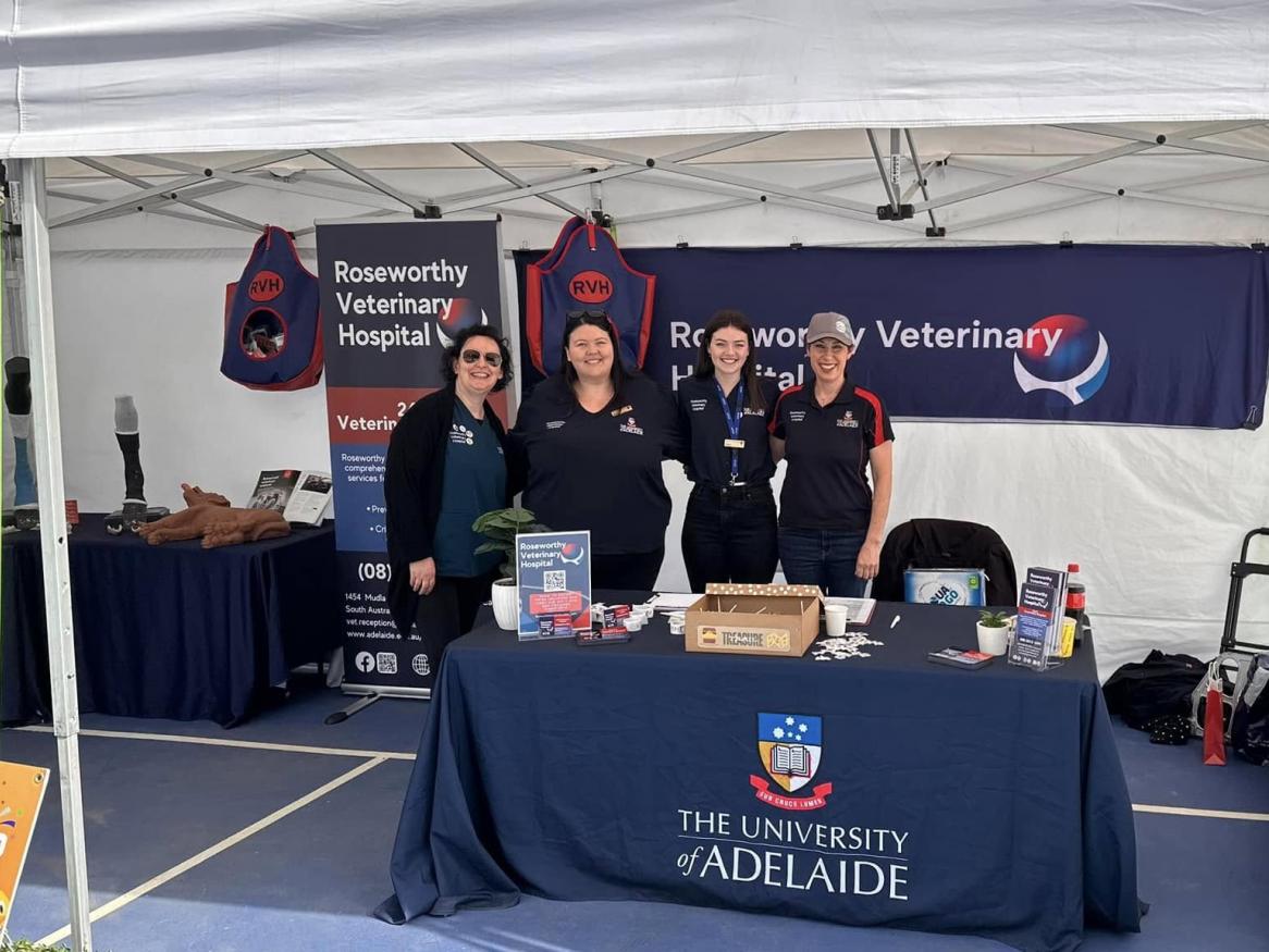 RVH Team at Gawler Show
