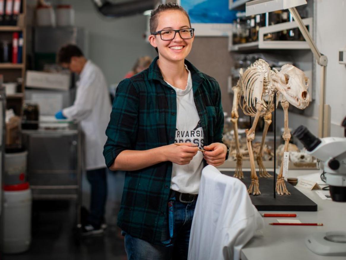 Visit Adelaide Graduate Award