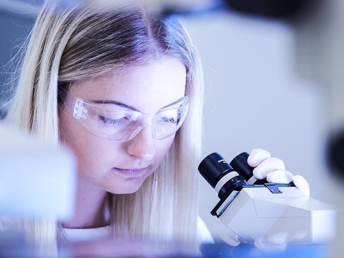 Industry scholarships & opportunities