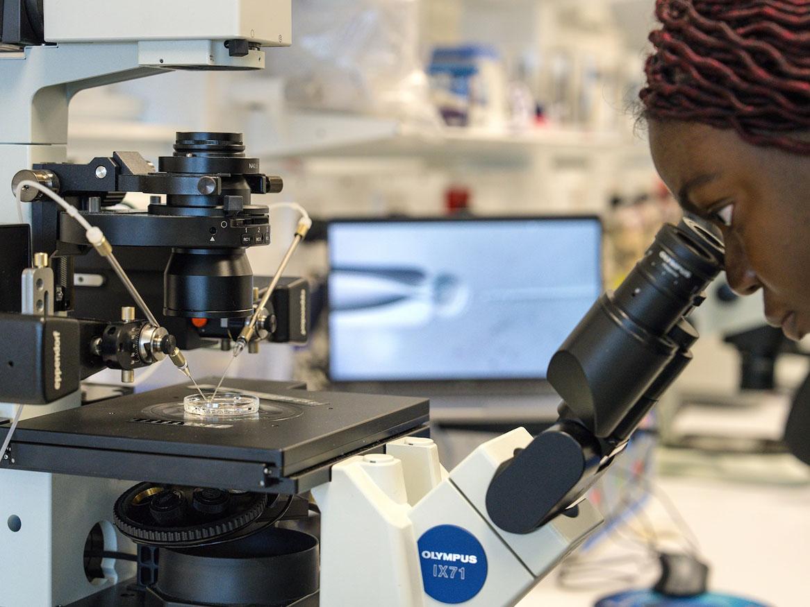A researcher in a laboratory looking into a microscope with a focus on IVF procedures