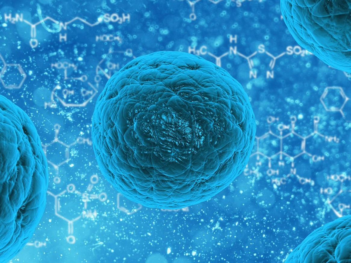 Microbe detection for food and beverage industry