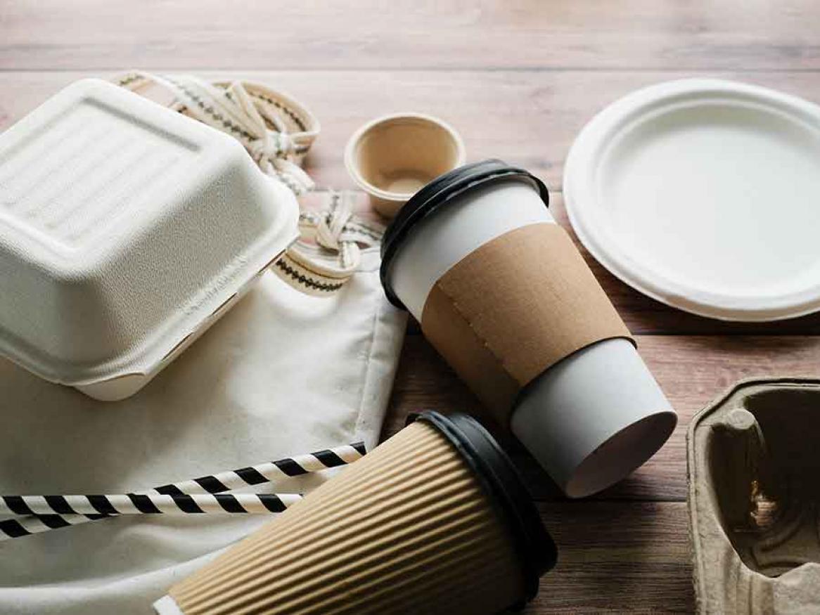 Biodegradable containers, coffee cups, plates and takeaway box