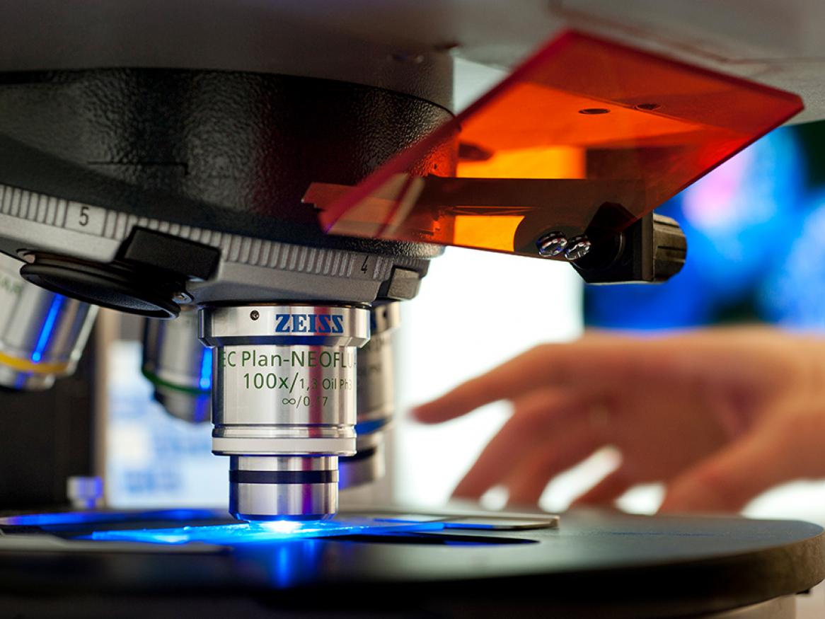 Adelaide research degrees