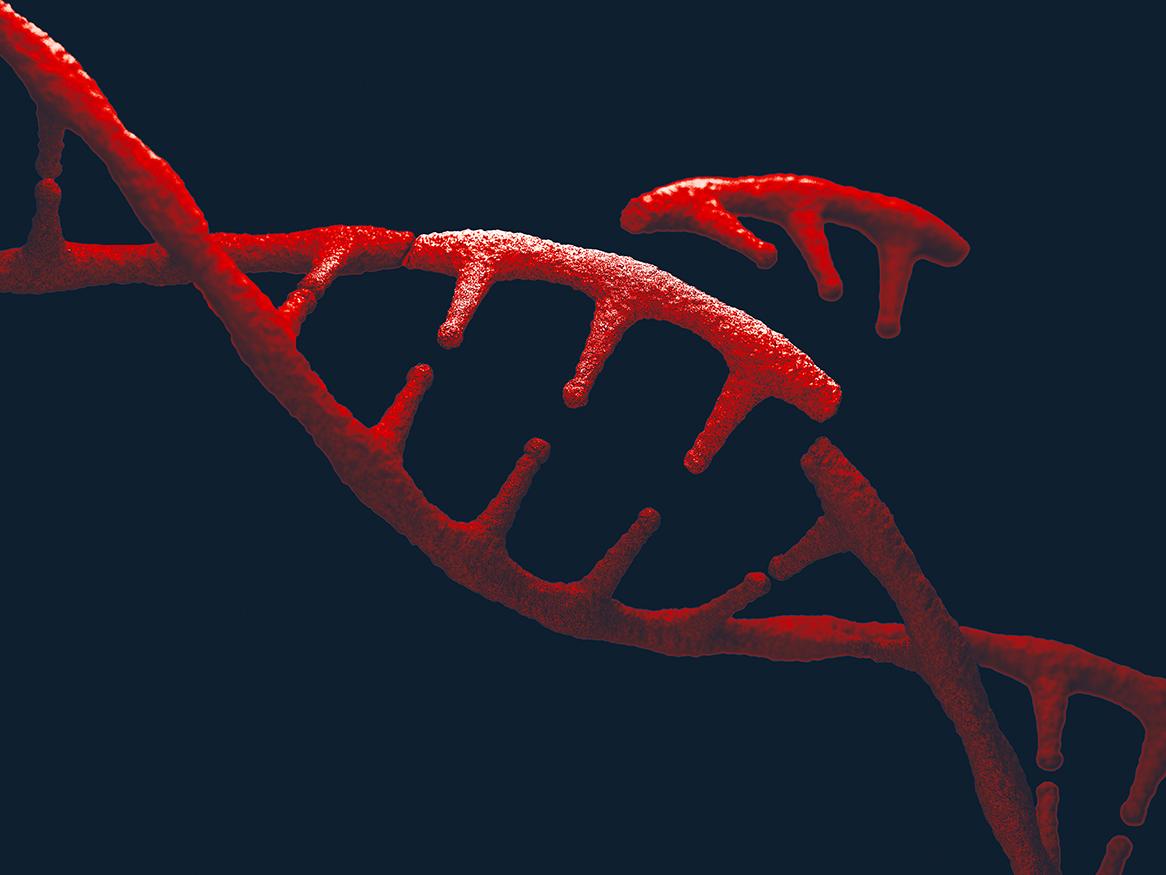 Redefining human genetics