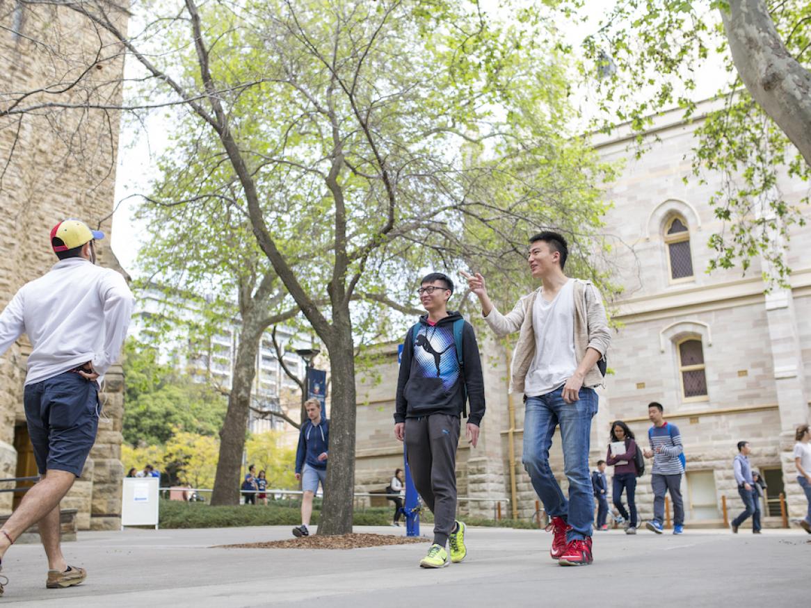 All about the software available to you