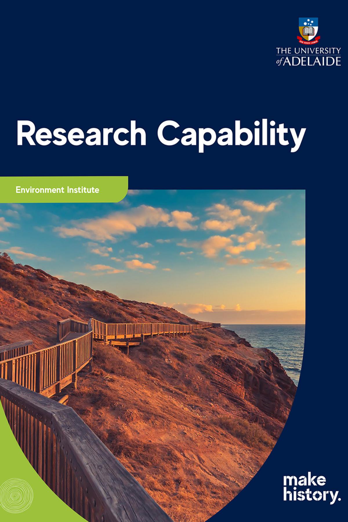 Research capability Environment Institute