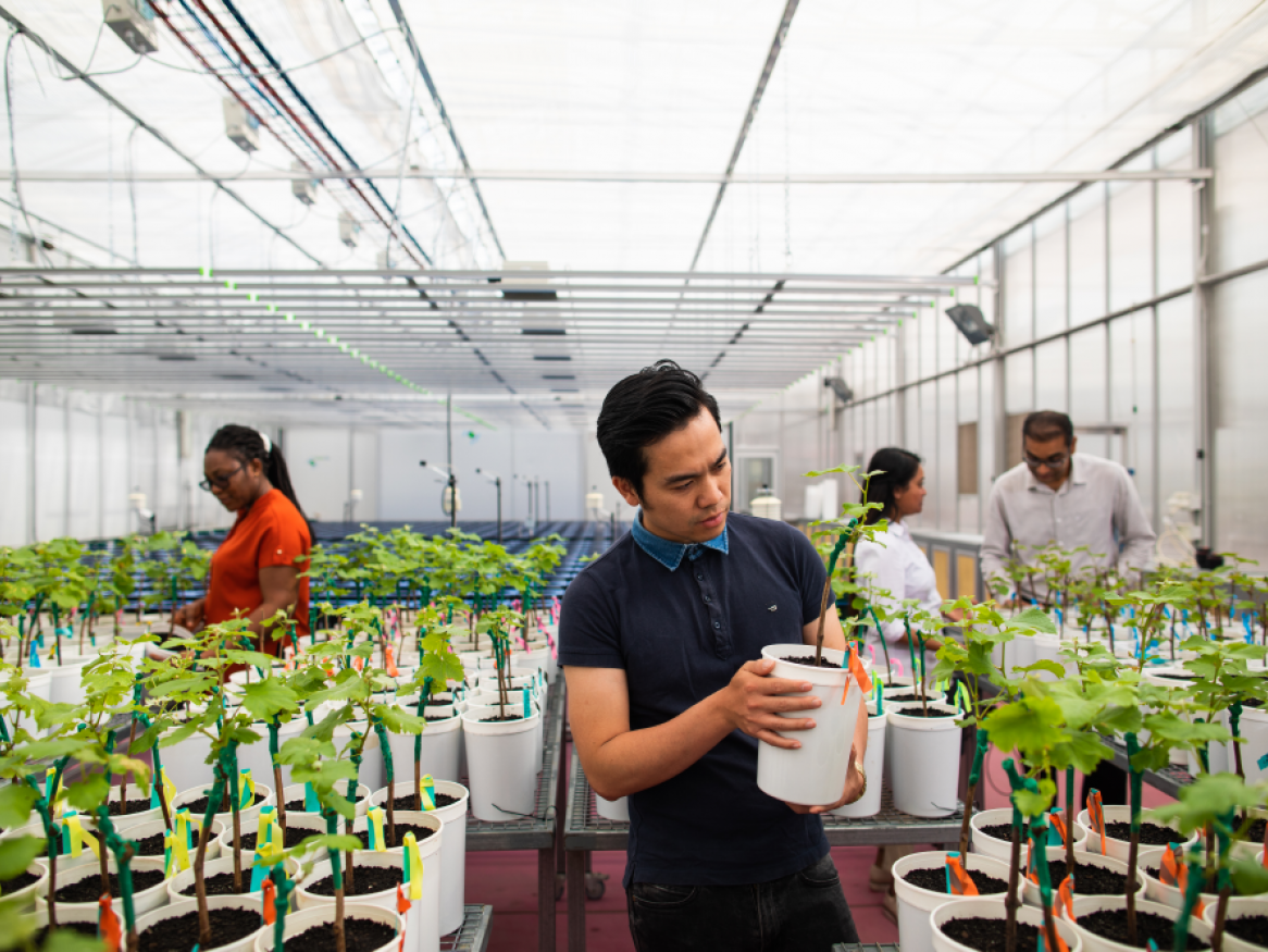 Waite campus. Students in plant accelerator. Smarthouse Imaging room.