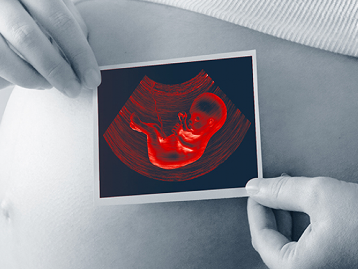 The maternal microbiome 