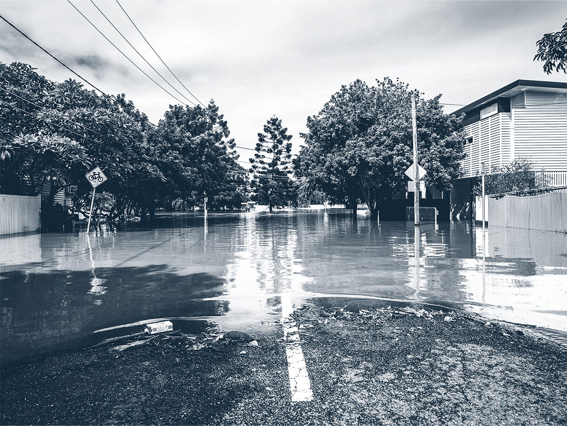 Research Tuesday - Risk-ready or not